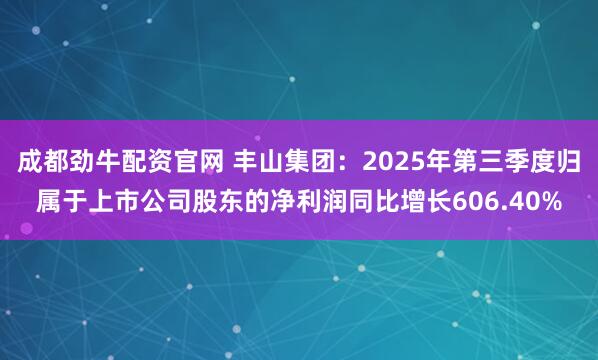 成都劲牛配资官网 丰山集团：2025年第三季度归属于上市公司股东的净利润同比增长606.40%