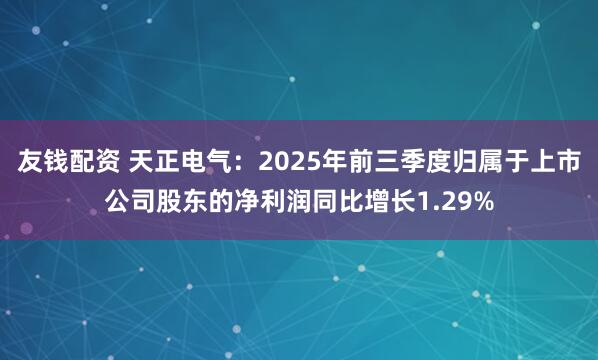友钱配资 天正电气：2025年前三季度归属于上市公司股东的净利润同比增长1.29%