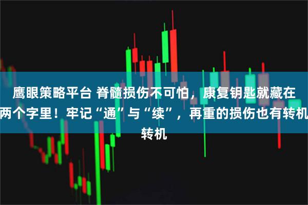 鹰眼策略平台 脊髓损伤不可怕，康复钥匙就藏在两个字里！牢记“通”与“续”，再重的损伤也有转机