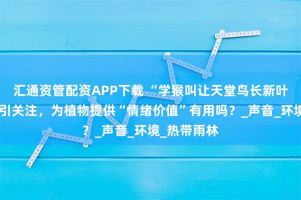 汇通资管配资APP下载 “学猴叫让天堂鸟长新叶”相关话题引关注，为植物提供“情绪价值”有用吗？_声音_环境_热带雨林