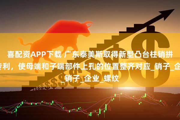 喜配资APP下载 广东泰美斯取得新型凸台柱销拼接机构专利,使母端和子端部件上孔的位置整齐对应_销子_企业_螺纹
