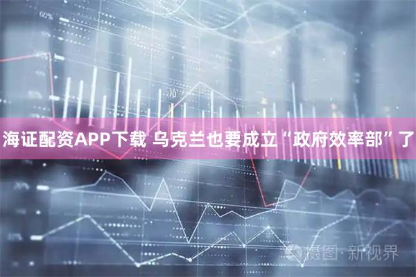 海证配资APP下载 乌克兰也要成立“政府效率部”了